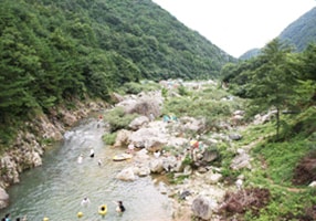 長霊山自然休養林