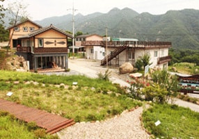 山野药草村（药草生活健康）